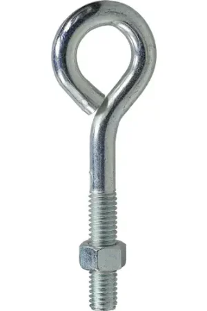 Special Offer L.H.Dottie® Eye Bolt w/ Hex Nut, 3/8"-16 x 2-1/2", 50 Pack