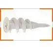 6 7 8 Self Drilling Drywall Anchors Light Duty E-Z ANCOR ITW Buildex MINI (3000/Pkg.) Secure Checkout