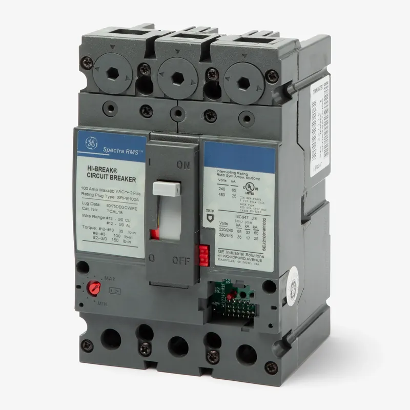 General Electric SEHA24AT0060 2 Pole Circuit Breaker Price Cut