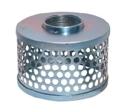 Buchanan Rubber SR-200-SP Round Hole Strainer, 2 in FIP, Steel Fast Shipping
