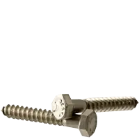 One Day Deal 1/2"-6 x 6" Hex Lag Screws, 18-8 Stainless Steel A2, Qty 25