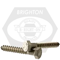 Big Sale 5/8"-5 x 20" Hex Lag Screws, 18-8 Stainless Steel A2, Qty 5