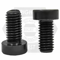 Special Offer M6-1.00 x 18 mm Low Head Socket Cap Screws, Metric Class 8.8, Plain Finish, Full Thread, DIN 7984, Qty 2400