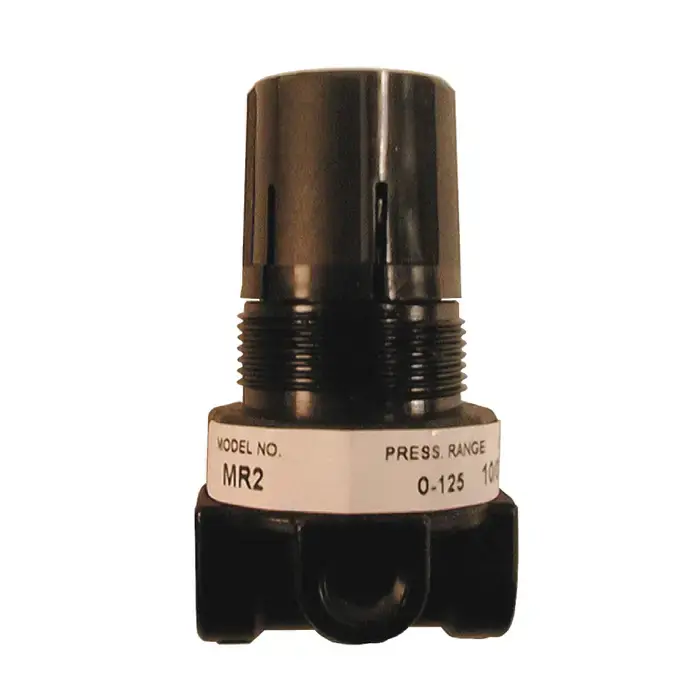 Special Offer COILHOSE PNEUMATICS MR2 1/4" Port Size, 0-125 PSI Pressure Range, 250 PSI Maximum Working Pressure Regulator