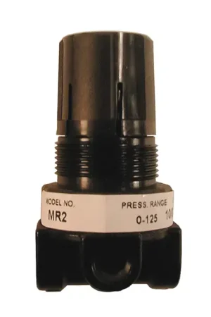 Exclusive Offer COILHOSE PNEUMATICS MR2-G 1/4" Port Size, 0-125 PSI Pressure Range, 250 PSI Maximum Working Pressure Regulator