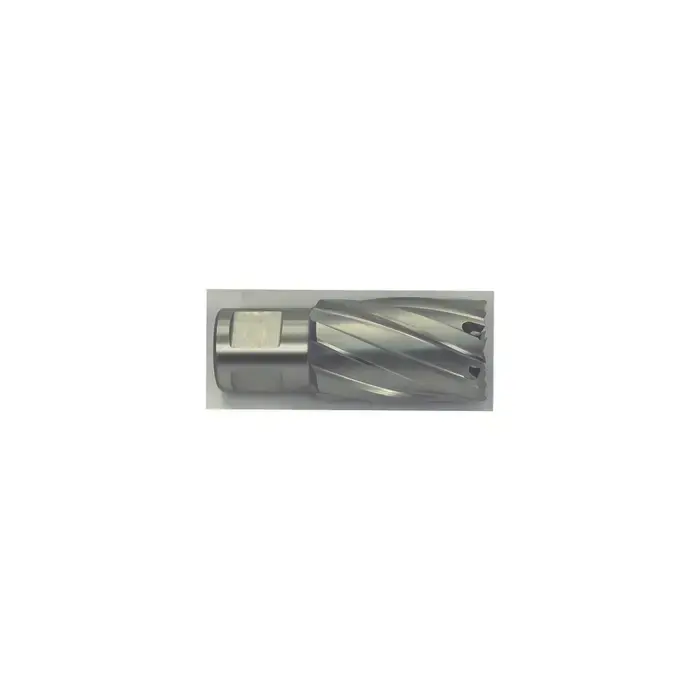 HOUGEN 12136 1-1/8", 1" Deep High Speed Steel Annular Cutter or Tool Shop Now