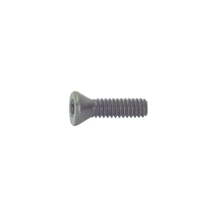 CARMEX - S16, Torx® Screw, S16 Hot Picks